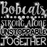 GLT87 SILVER GLITTER Thumbnail